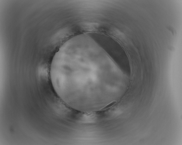 X0000113180720200909181853