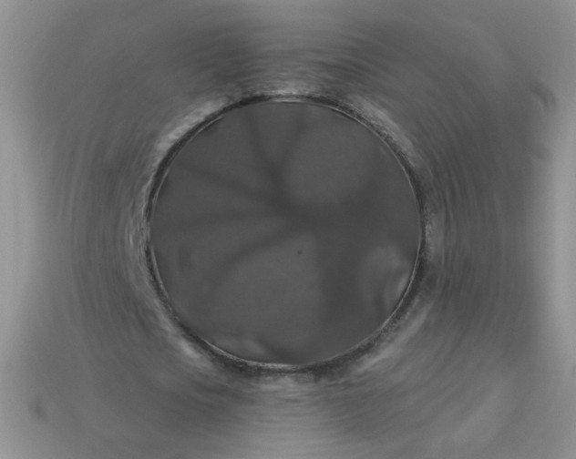 X0000113180721200909181852