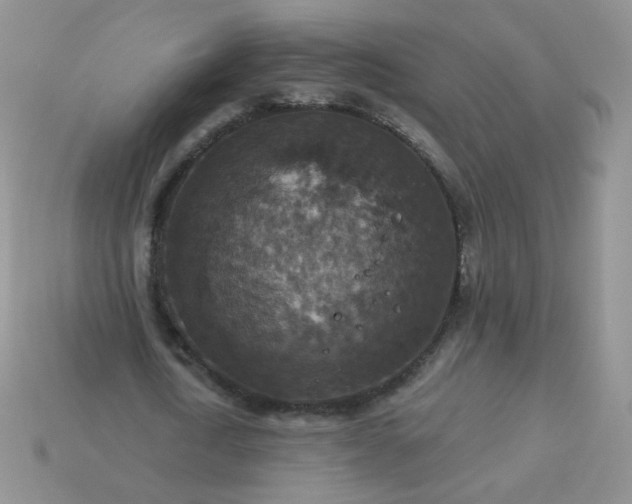 X0000113180722200909181852