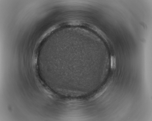 X0000113180723200909181852