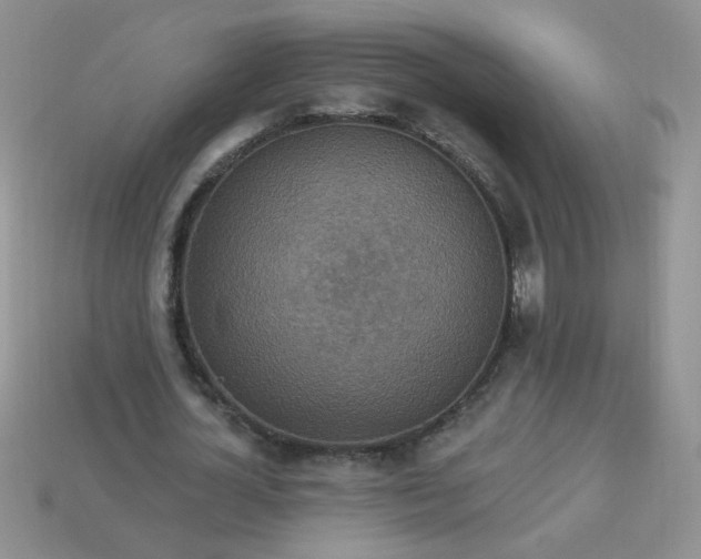 X0000113180724200909181852