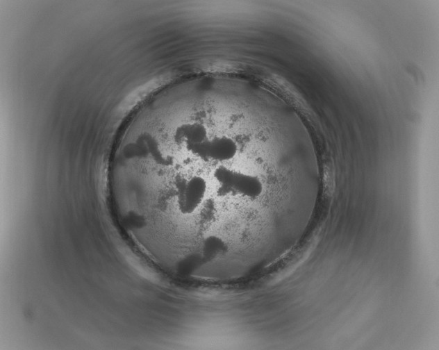 X0000113180725200909181852