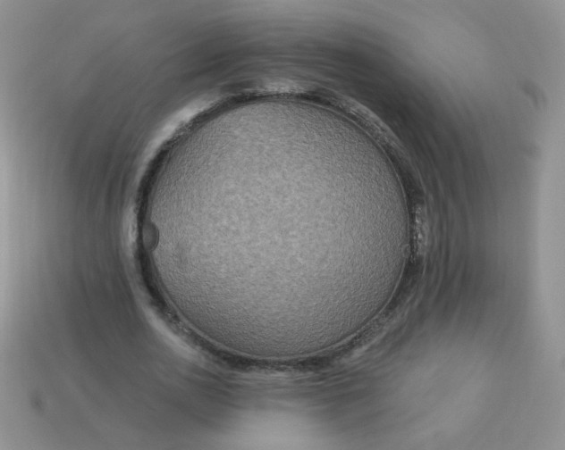 X0000113180726200909181853