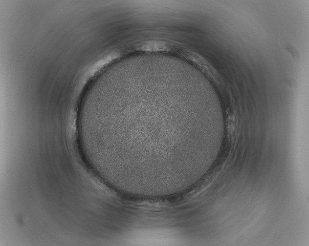 X0000113180727200909181853