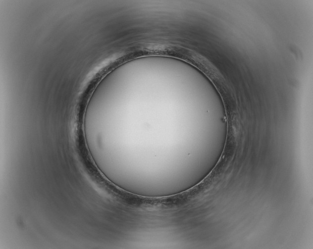 X0000113180728200909181853