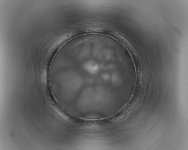 X0000113180729200909181853