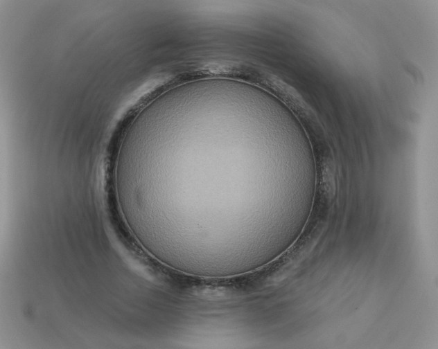 X0000113180730200909181853