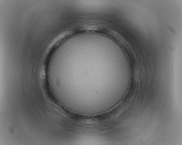 X0000113180731200909181853