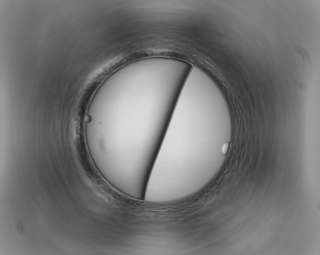 X0000113180732200909181853