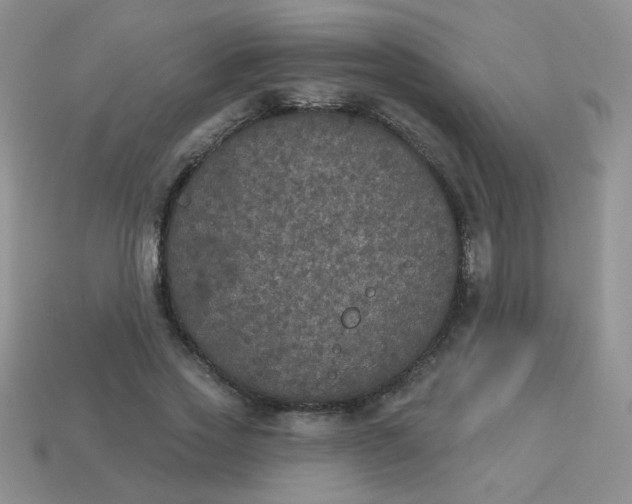 X0000113180733200909181853