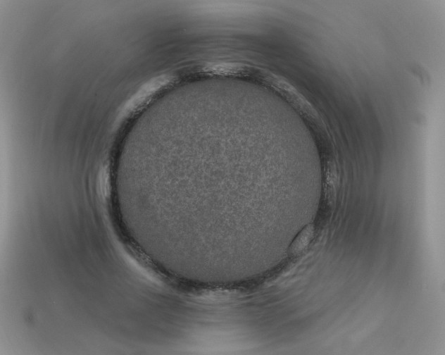 X0000113180734200909181853