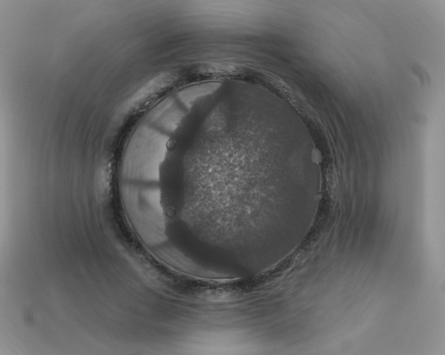 X0000113180735200909181853