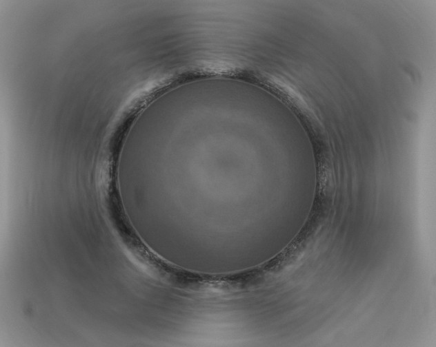 X0000113180736200909181853