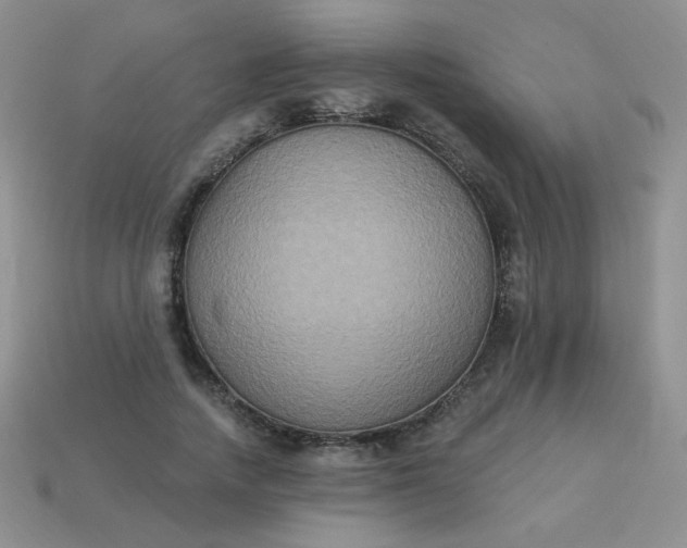 X0000113180738200909181853