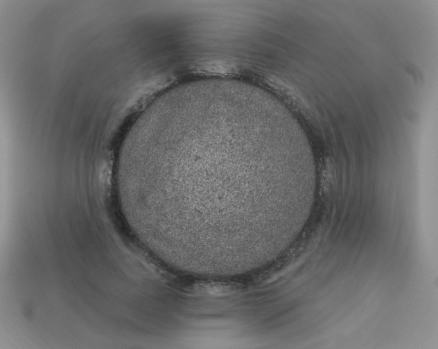 X0000113180739200909181853