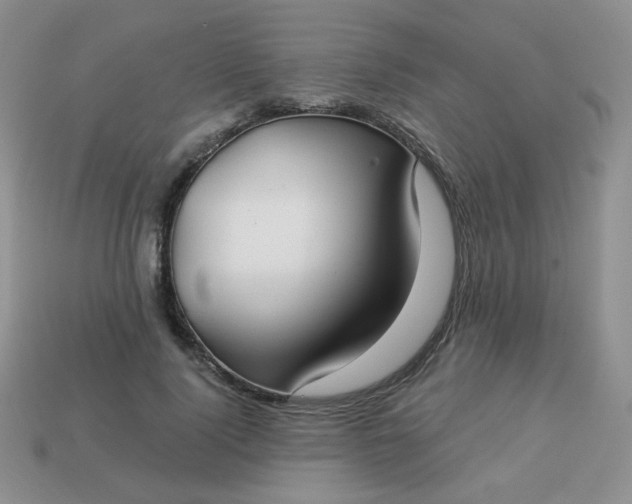 X0000113180740200909181853