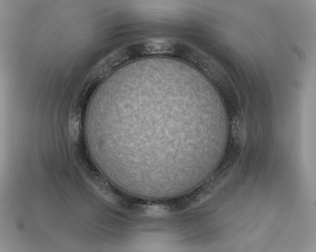 X0000113180741200909181853