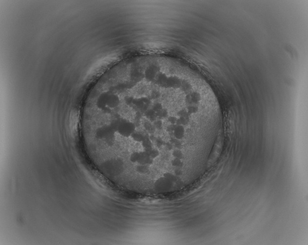 X0000113180742200909181853