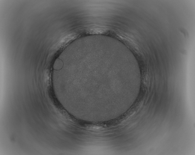 X0000113180743200909181853