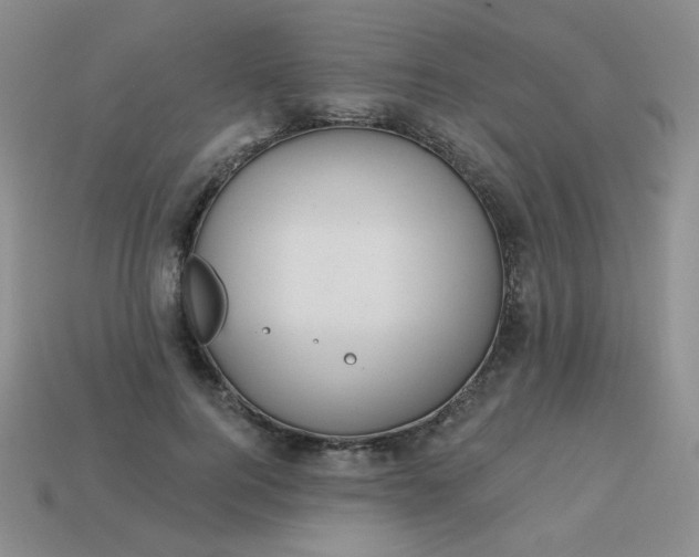 X0000113180744200909181853