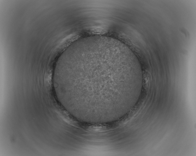 X0000113180745200909181853