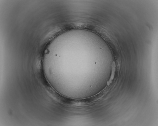 X0000113180746200909181853