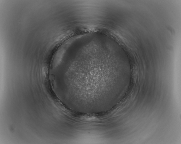 X0000113180747200909181853