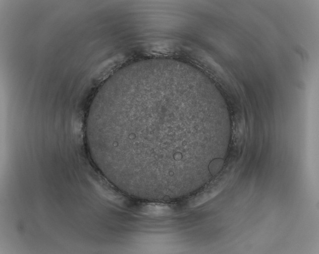 X0000113180749200909181853