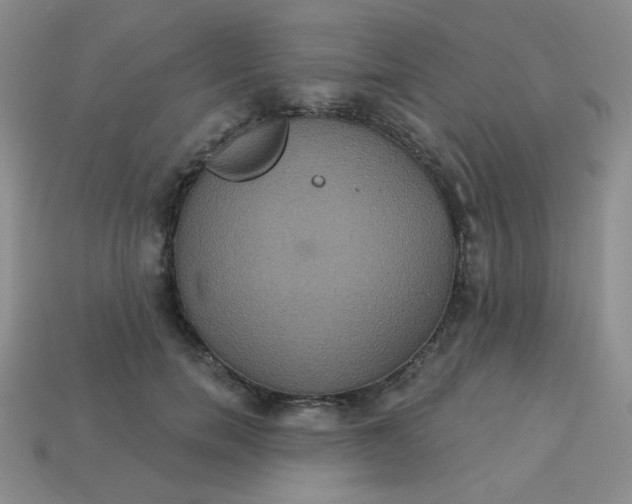 X0000113180750200909181853