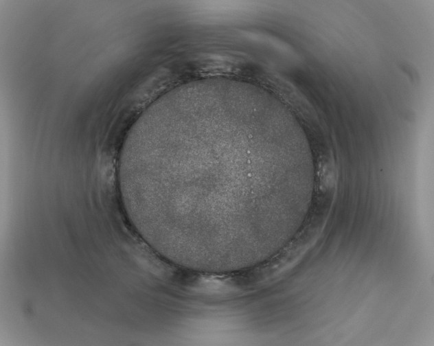 X0000113180753200909181853