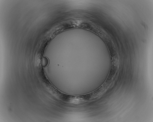 X0000113180754200909181853