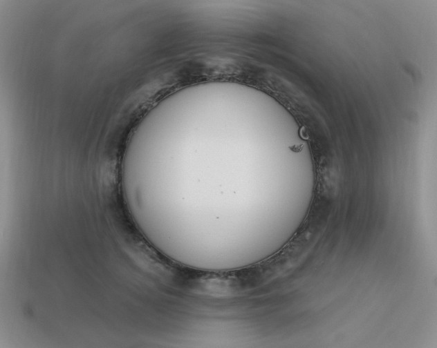 X0000113180756200909181853