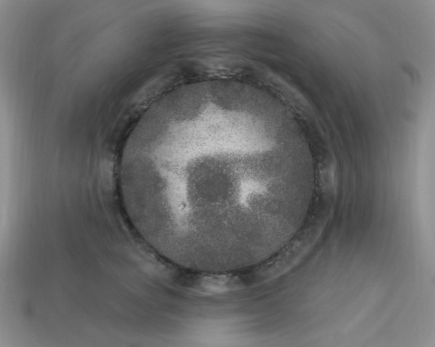 X0000113180757200909181853