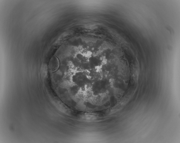 X0000113180758200909181853