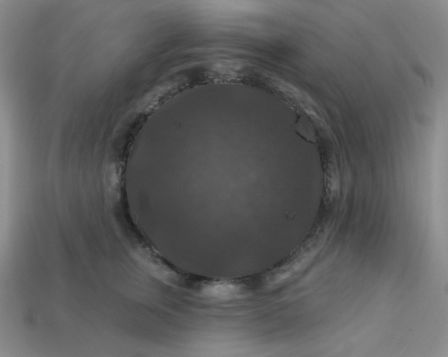 X0000113180759200909181853