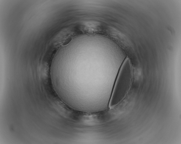 X0000113180760200909181853