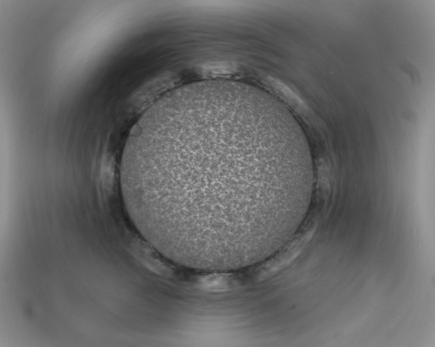 X0000113180761200909181853