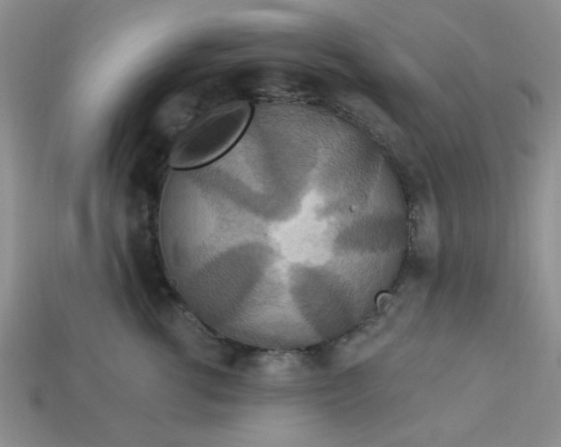 X0000113180762200909181853