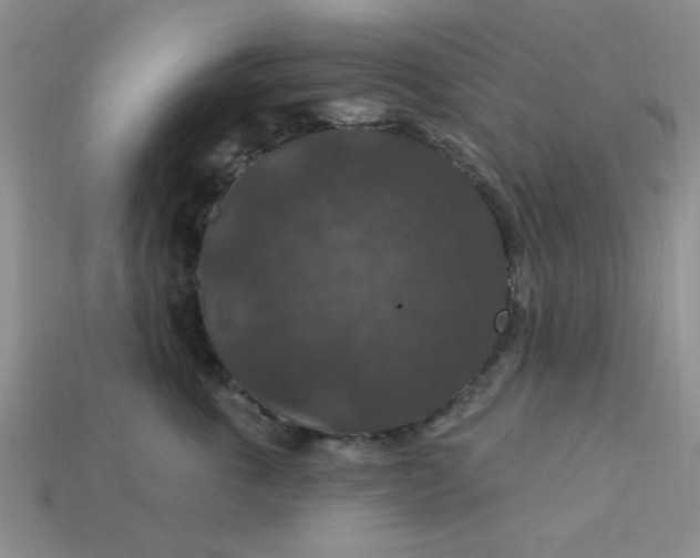 X0000113180763200909181853