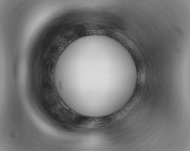 X0000113180764200909181853