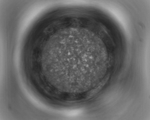 X0000113180765200909181853