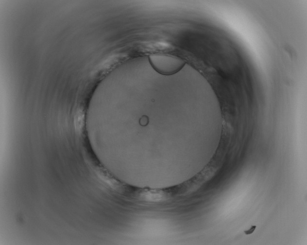 X0000113180767200909181853