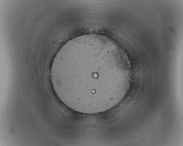 X0000113180769200909181852