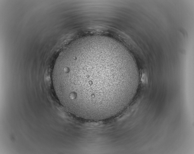 X0000113180771200909181852