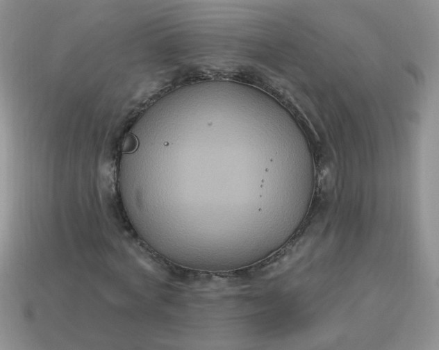 X0000113180772200909181852