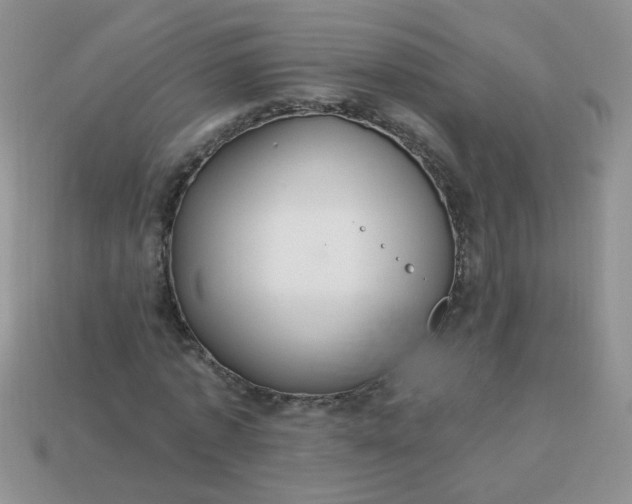 X0000113180773200909181852