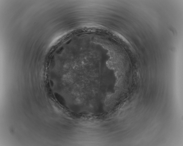 X0000113180775200909181852