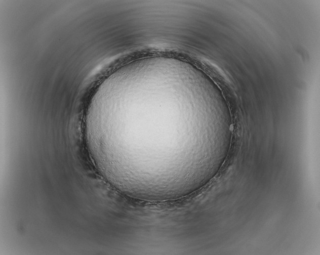 X0000113180776200909181852