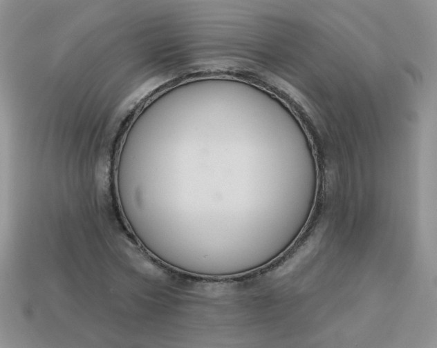 X0000113180778200909181852