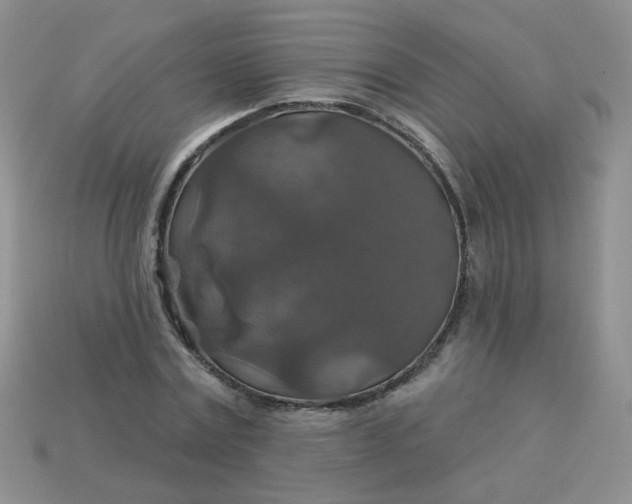 X0000113180779200909181852